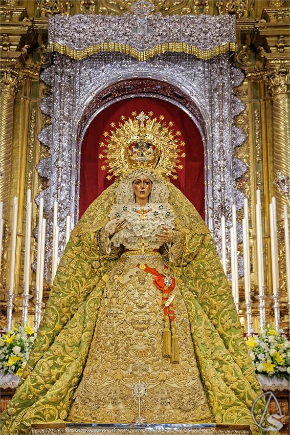fjmontiel_VE_EX_Esperanza_Macarena_por_la_Rosa_de_Oro_Pontificia_2024_DSC_6491_DxO
