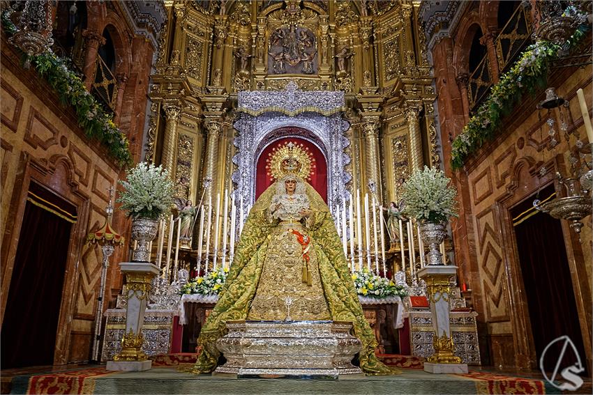 fjmontiel_VE_EX_Esperanza_Macarena_por_la_Rosa_de_Oro_Pontificia_2024_DSC_6493_DxO