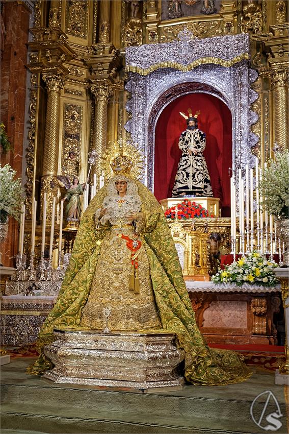 fjmontiel_VE_EX_Esperanza_Macarena_por_la_Rosa_de_Oro_Pontificia_2024_DSC_6495_DxO