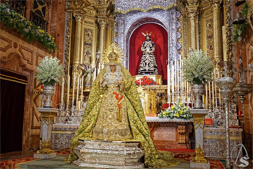 fjmontiel_VE_EX_Esperanza_Macarena_por_la_Rosa_de_Oro_Pontificia_2024_DSC_6499_DxO