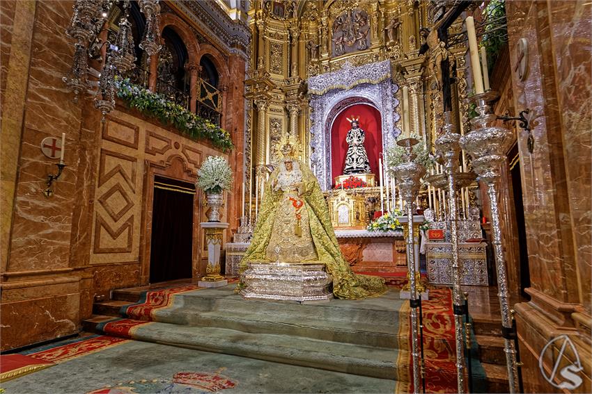 fjmontiel_VE_EX_Esperanza_Macarena_por_la_Rosa_de_Oro_Pontificia_2024_DSC_6500_DxO