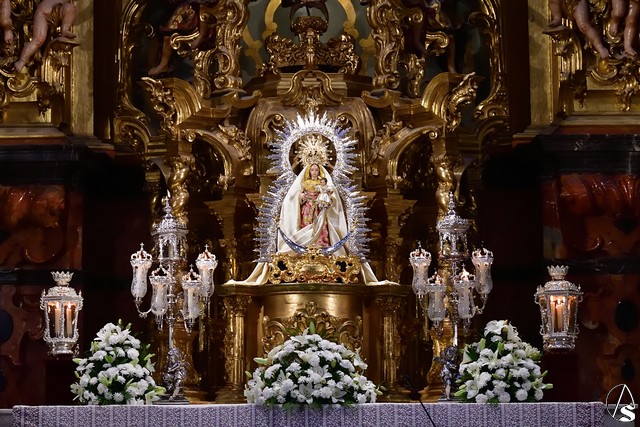funcion prado