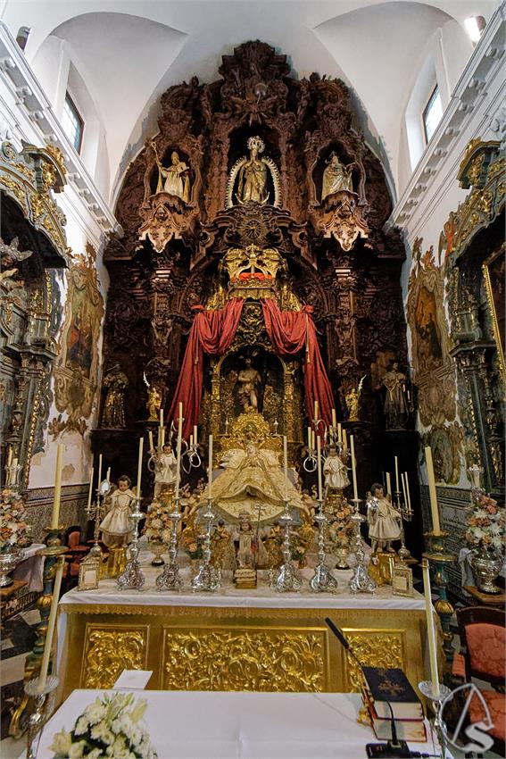 fjmontiel_VE_Transito_Pozo_Santo_2026_DSC_2179_DxO