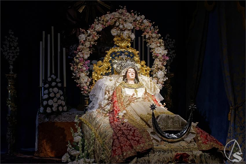 fjmontiel_VE_Transito_Santa_Rosalia_2026_DSC_2134_DxO