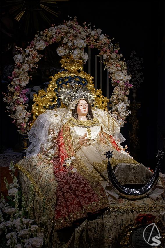 fjmontiel_VE_Transito_Santa_Rosalia_2026_DSC_2135_DxO