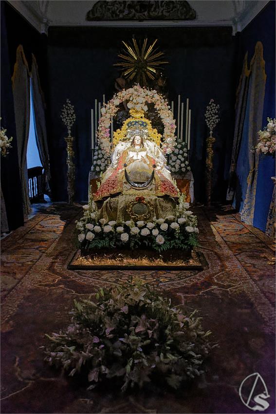 fjmontiel_VE_Transito_Santa_Rosalia_2026_DSC_2136_DxO