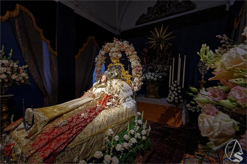 fjmontiel_VE_Transito_Santa_Rosalia_2026_DSC_2151_DxO
