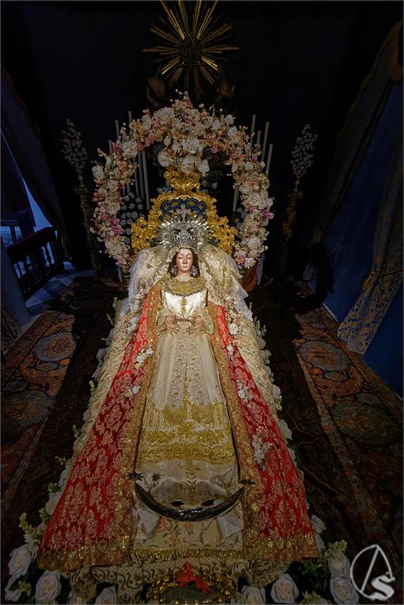 fjmontiel_VE_Transito_Santa_Rosalia_2026_DSC_2152_DxO