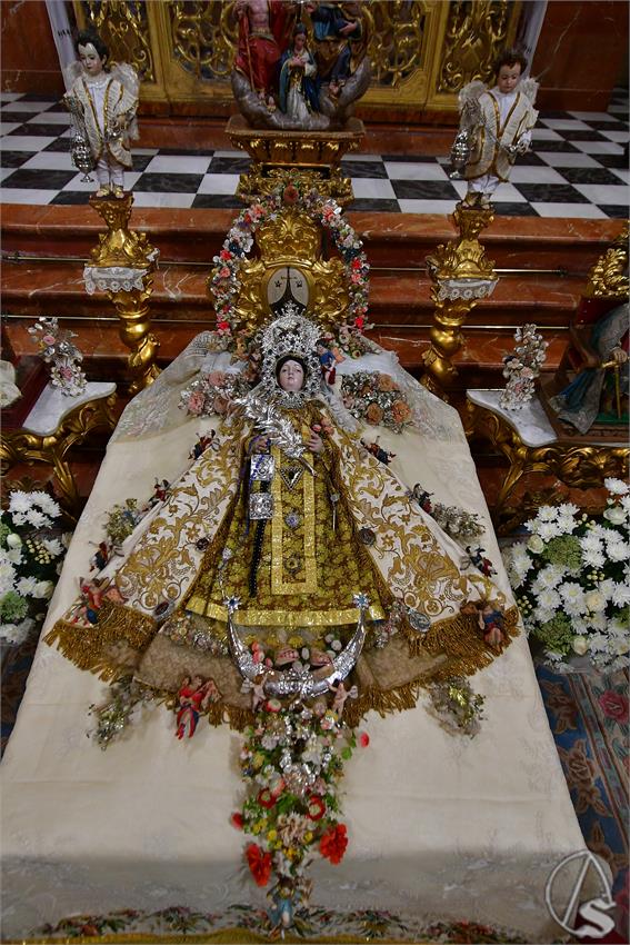 fjmontiel_VE_Transito_Santo_Angel_2026_DSC_2114.JPG