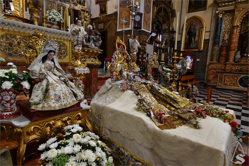 fjmontiel_VE_Transito_Santo_Angel_2026_DSC_2115.JPG