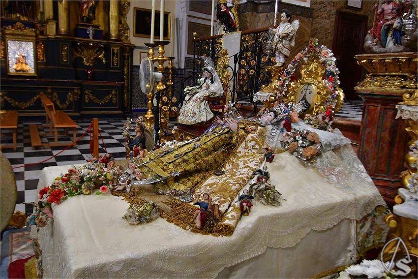 fjmontiel_VE_Transito_Santo_Angel_2026_DSC_2118.JPG