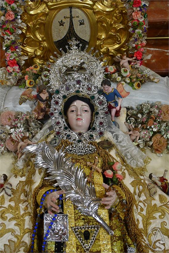 fjmontiel_VE_Transito_Santo_Angel_2026_DSC_2119.JPG