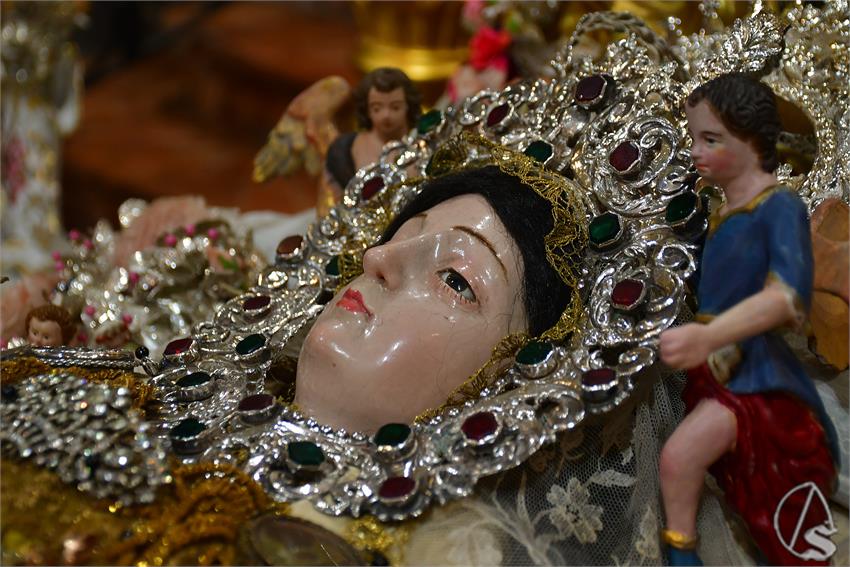 fjmontiel_VE_Transito_Santo_Angel_2026_DSC_2120.JPG
