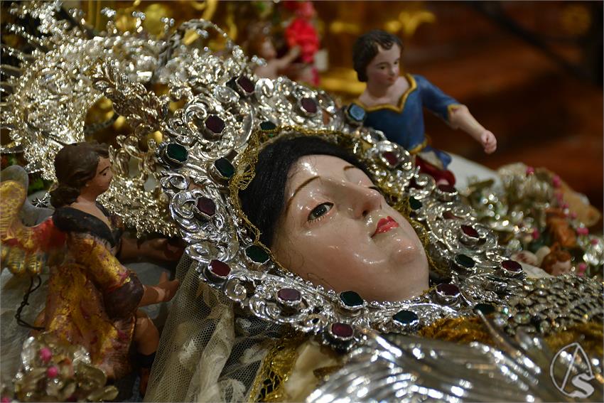 fjmontiel_VE_Transito_Santo_Angel_2026_DSC_2123.JPG
