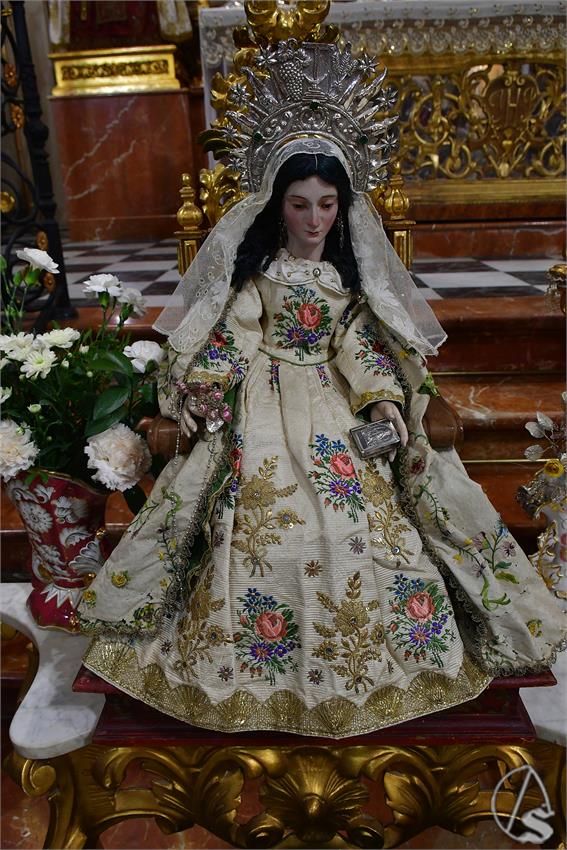 fjmontiel_VE_Transito_Santo_Angel_2026_DSC_2124.JPG