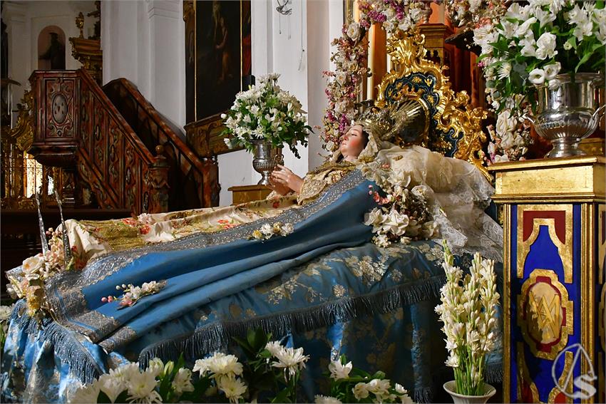 fjmontiel_VE_Virgen_del_Transito_de_Santa_Rosalia_2025_DSC_2076.JPG