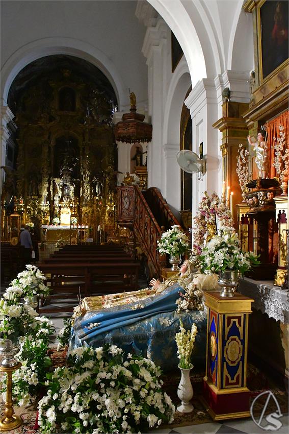 fjmontiel_VE_Virgen_del_Transito_de_Santa_Rosalia_2025_DSC_2081.JPG
