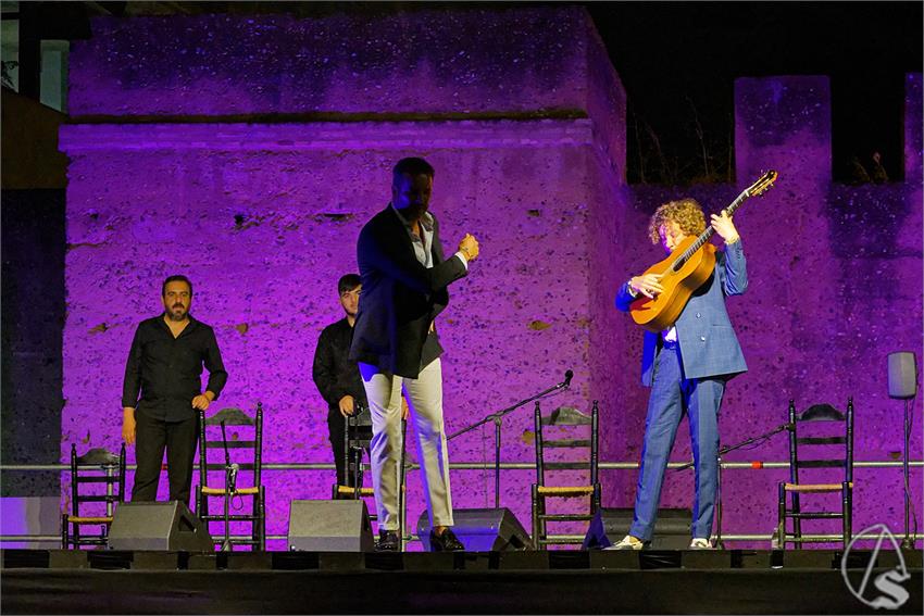 fjmontiel_Valle_Gitano_Sabado_Homenaje_Manuela_Carrasco_2024_DSC_7596_DxO