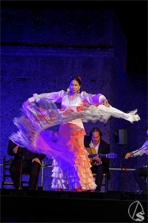 fjmontiel_Valle_Gitano_Sabado_Homenaje_Manuela_Carrasco_2024_DSC_7659_DxO