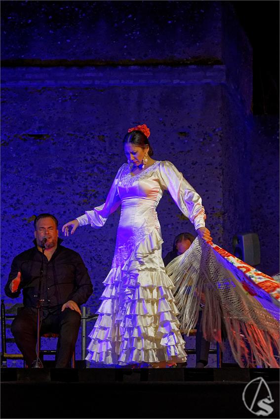 fjmontiel_Valle_Gitano_Sabado_Homenaje_Manuela_Carrasco_2024_DSC_7664_DxO