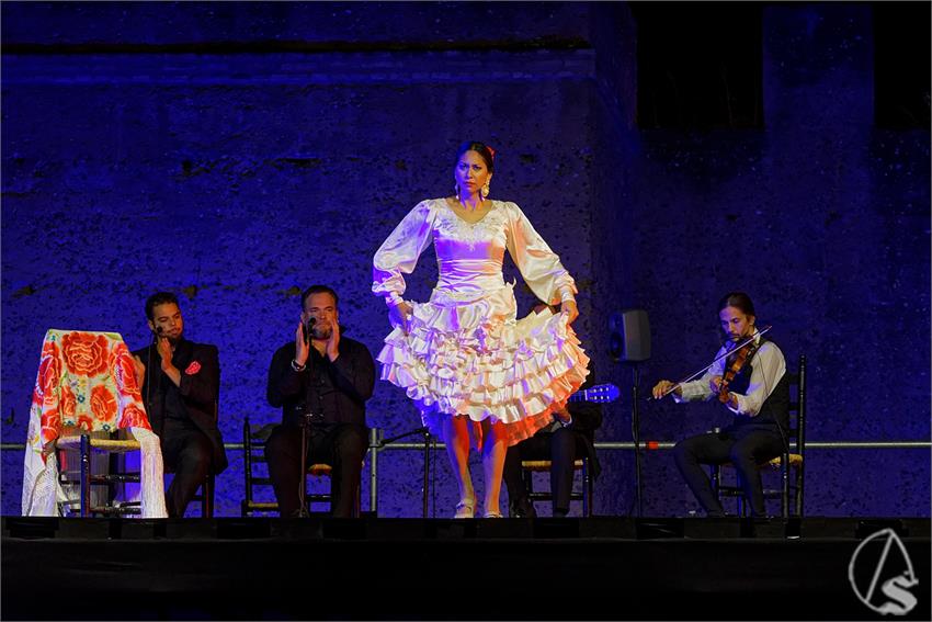 fjmontiel_Valle_Gitano_Sabado_Homenaje_Manuela_Carrasco_2024_DSC_7667_DxO