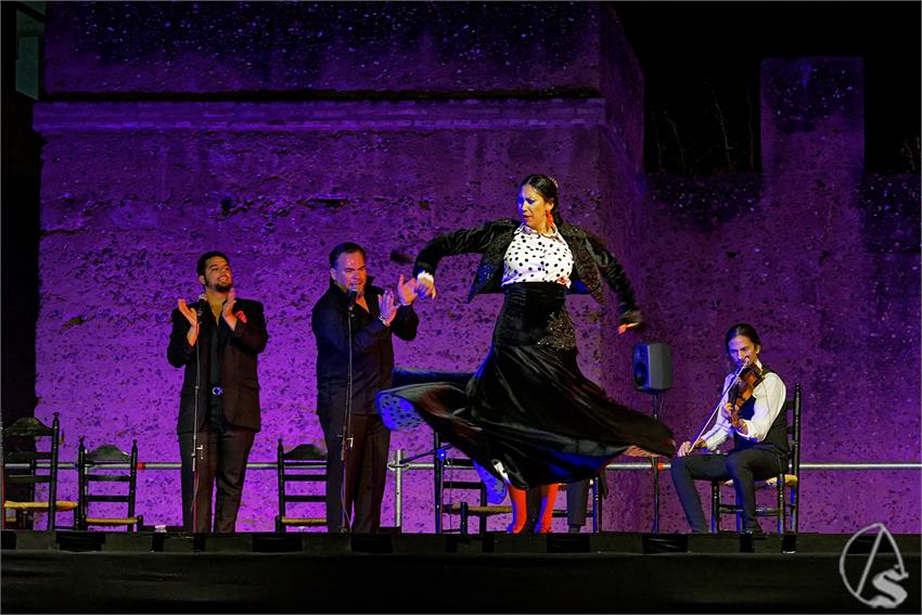 fjmontiel_Valle_Gitano_Sabado_Homenaje_Manuela_Carrasco_2024_DSC_7743_DxO