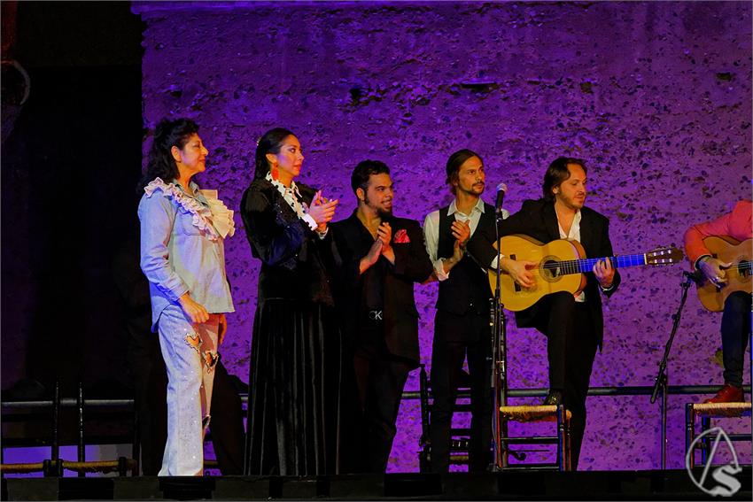 fjmontiel_Valle_Gitano_Sabado_Homenaje_Manuela_Carrasco_2024_DSC_7775_DxO