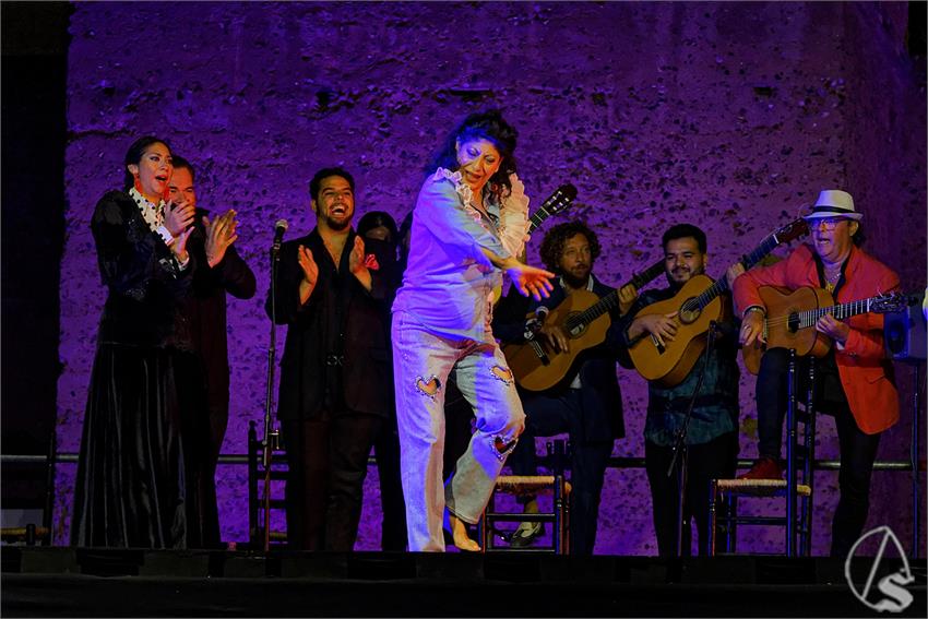 fjmontiel_Valle_Gitano_Sabado_Homenaje_Manuela_Carrasco_2024_DSC_7793_DxO