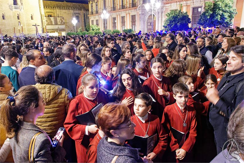 fjmontiel_Via_Crucis_Hermandades_2024_DSC_9357_DxO