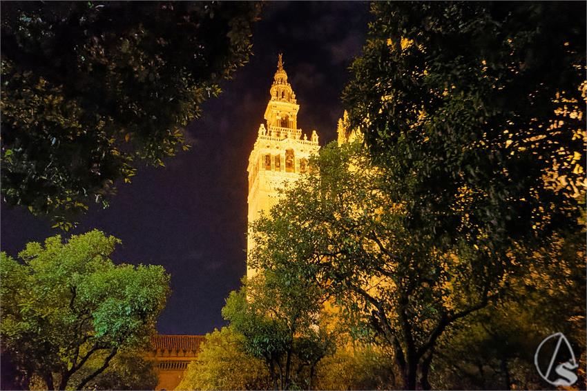 fjmontiel_Via_Crucis_Sacramental_Sagrario_Cristo_del_Perdon_2026_DSC_4071_DxO