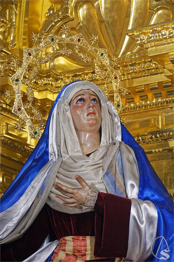 remedios siete