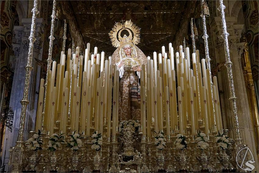 fjmontiel_Virgen_Socorro_bajo_Palio_2024_DSC_4051_DxO