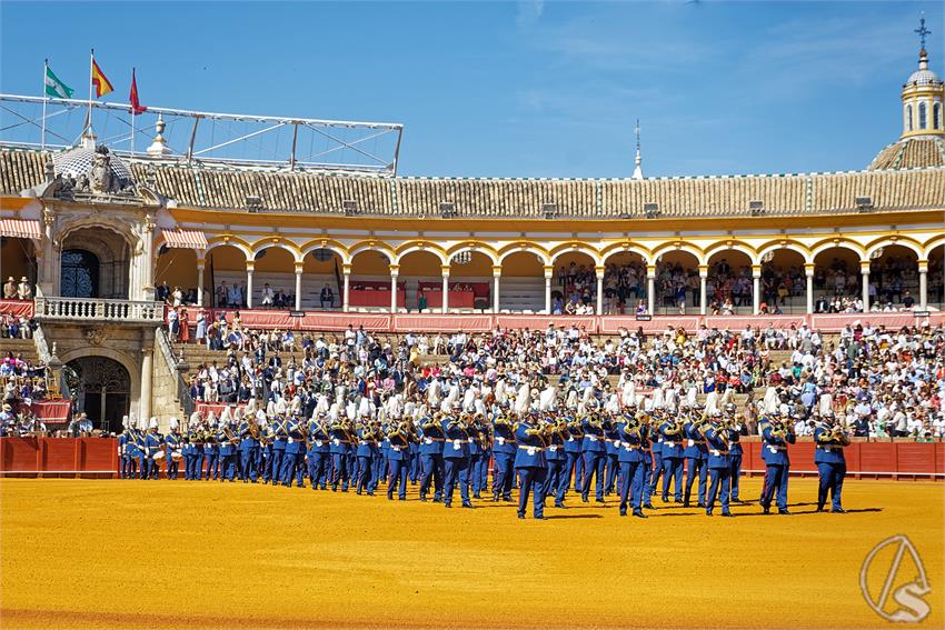 fjmontiel_XL_Exhibicion_Enganches_Sevilla_2026_DSC_9238_DxO