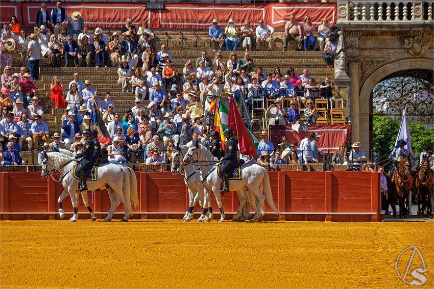 fjmontiel_XL_Exhibicion_Enganches_Sevilla_2026_DSC_9249_DxO