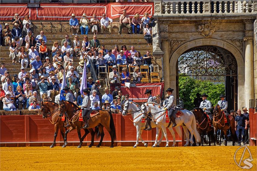 fjmontiel_XL_Exhibicion_Enganches_Sevilla_2026_DSC_9250_DxO