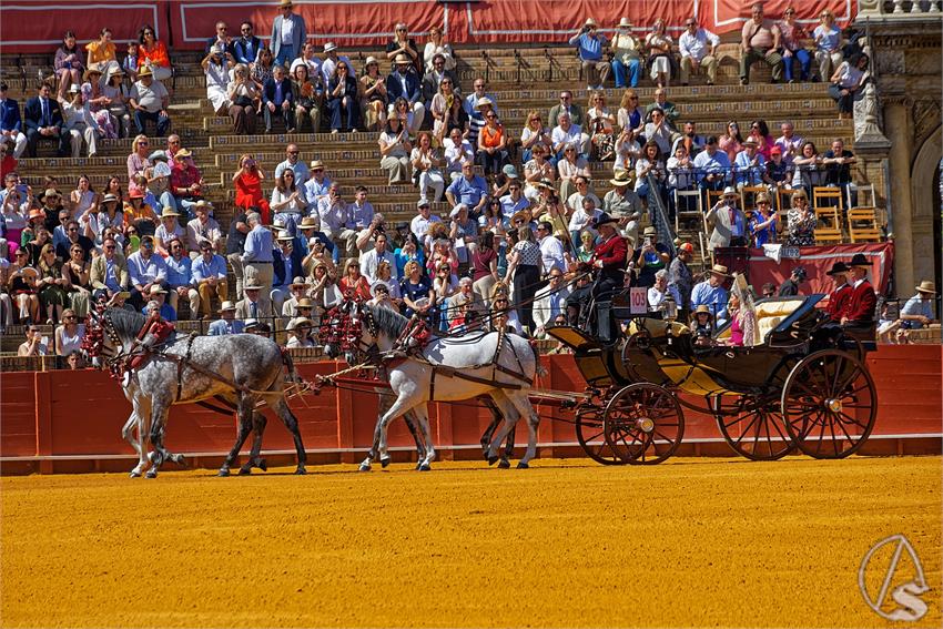 fjmontiel_XL_Exhibicion_Enganches_Sevilla_2026_DSC_9252_DxO