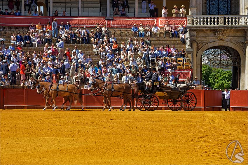 fjmontiel_XL_Exhibicion_Enganches_Sevilla_2026_DSC_9254_DxO