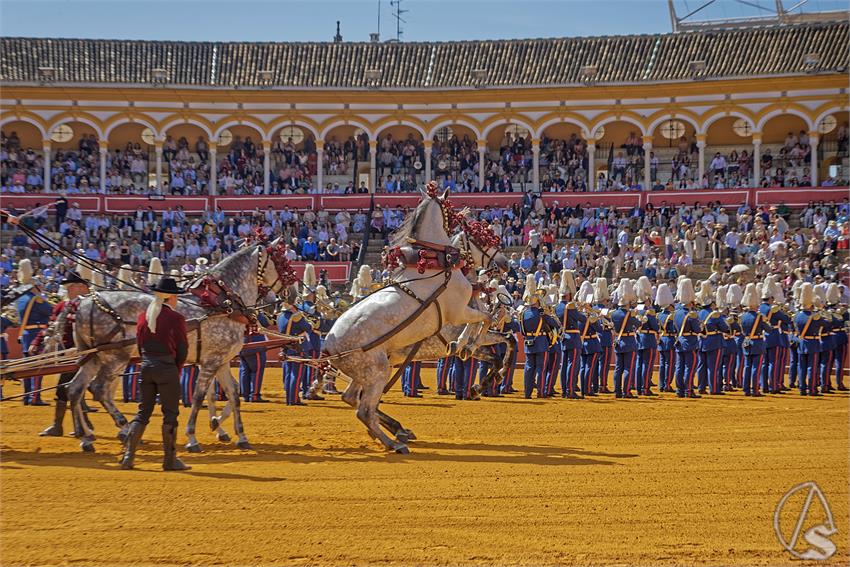 fjmontiel_XL_Exhibicion_Enganches_Sevilla_2026_DSC_9279_DxO