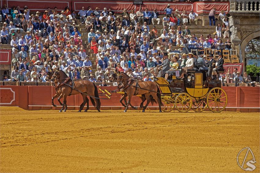 fjmontiel_XL_Exhibicion_Enganches_Sevilla_2026_DSC_9287_DxO
