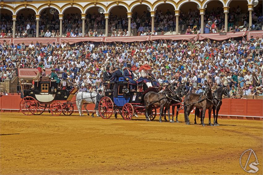 fjmontiel_XL_Exhibicion_Enganches_Sevilla_2026_DSC_9292_DxO