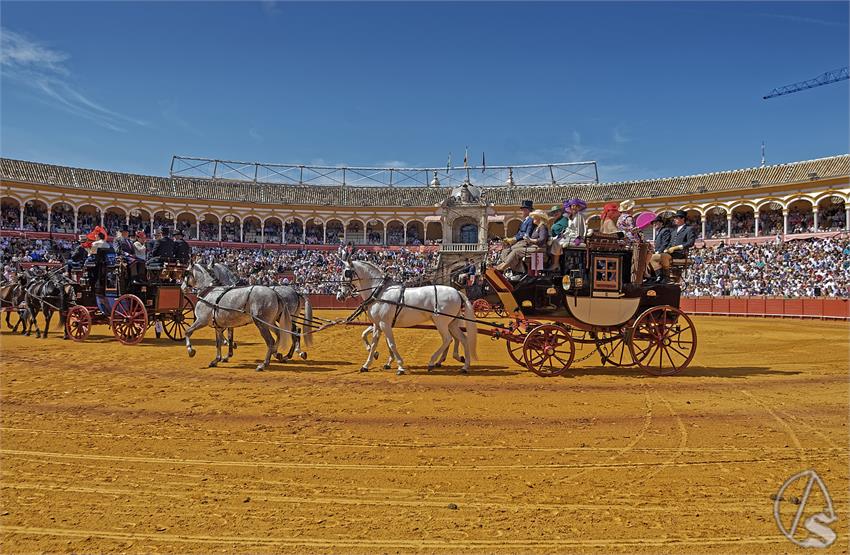 fjmontiel_XL_Exhibicion_Enganches_Sevilla_2026_DSC_9297_DxO