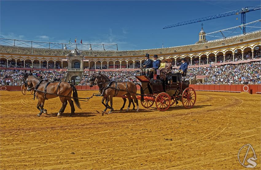 fjmontiel_XL_Exhibicion_Enganches_Sevilla_2026_DSC_9307_DxO