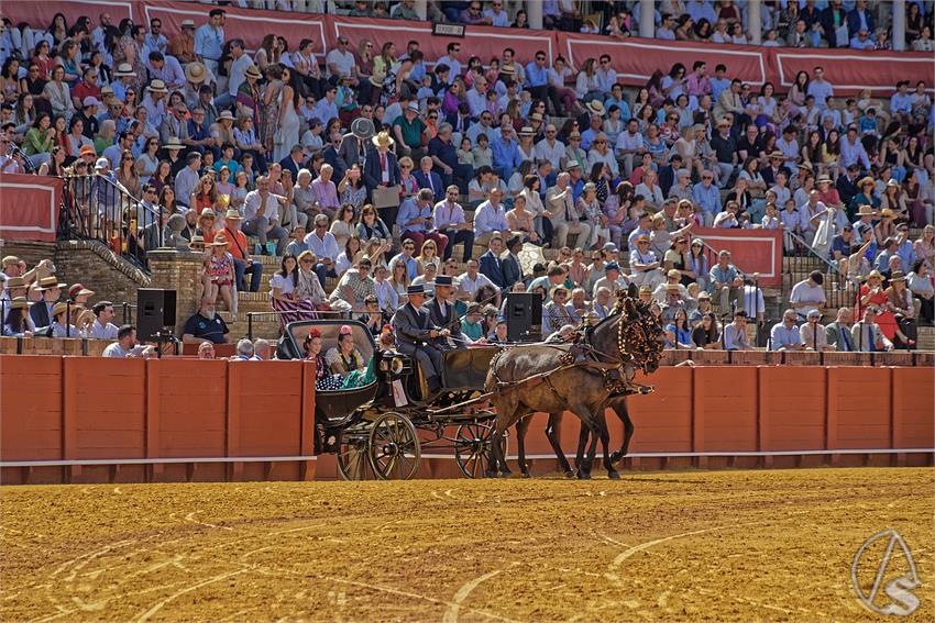 fjmontiel_XL_Exhibicion_Enganches_Sevilla_2026_DSC_9309_DxO