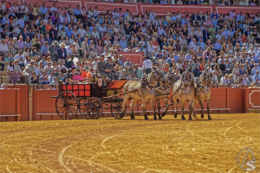 fjmontiel_XL_Exhibicion_Enganches_Sevilla_2026_DSC_9310_DxO