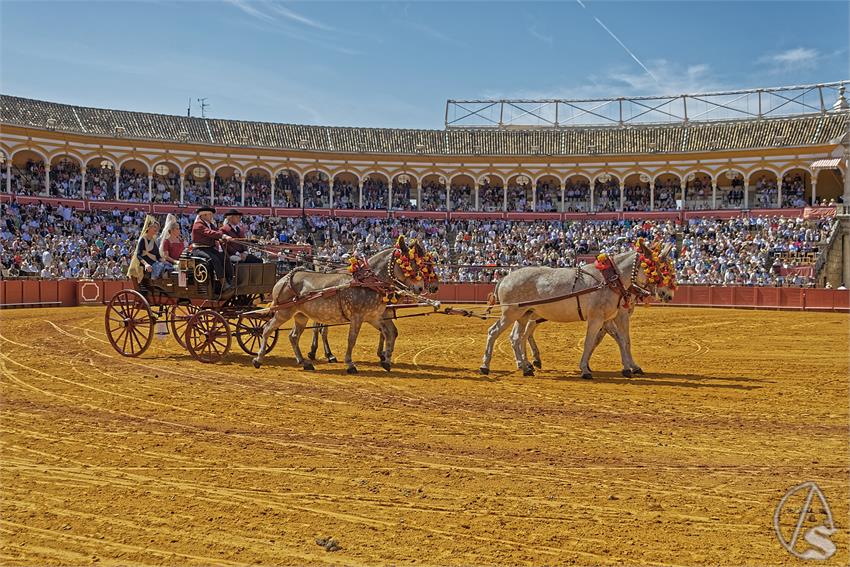 fjmontiel_XL_Exhibicion_Enganches_Sevilla_2026_DSC_9312_DxO