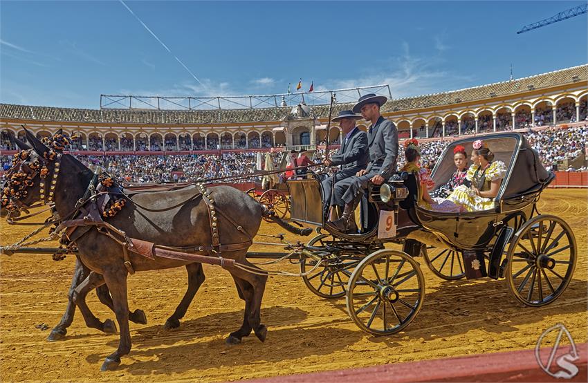 fjmontiel_XL_Exhibicion_Enganches_Sevilla_2026_DSC_9313_DxO