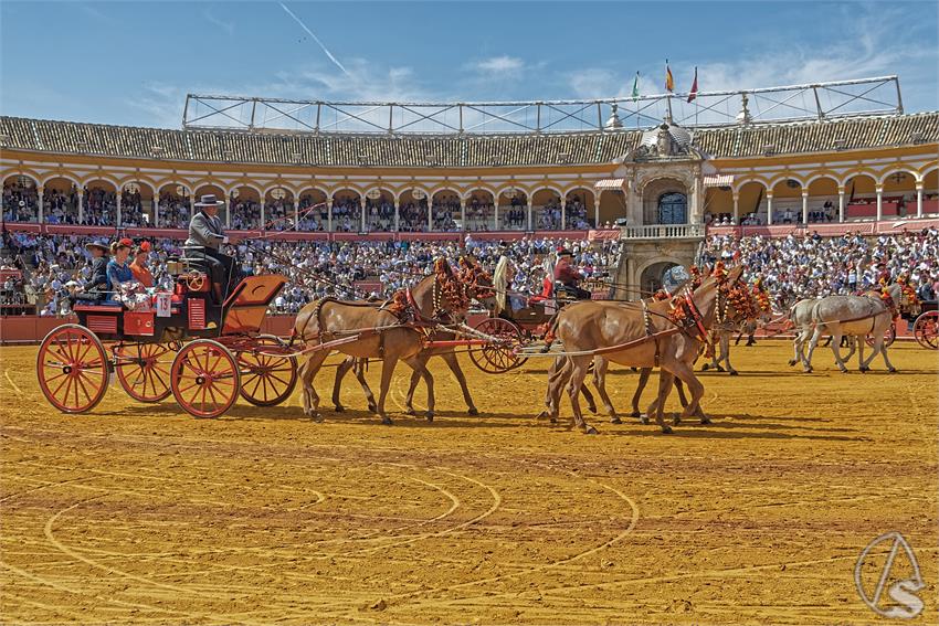 fjmontiel_XL_Exhibicion_Enganches_Sevilla_2026_DSC_9316_DxO