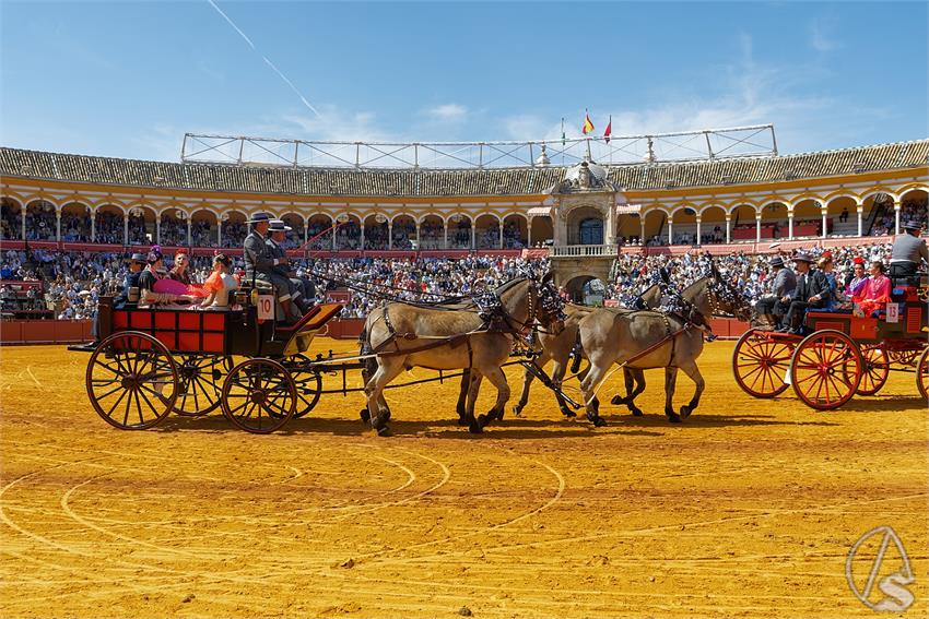 fjmontiel_XL_Exhibicion_Enganches_Sevilla_2026_DSC_9317_DxO