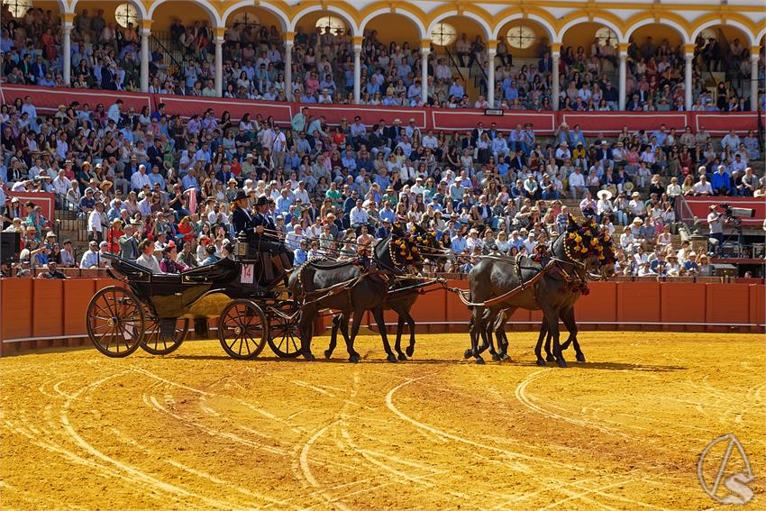fjmontiel_XL_Exhibicion_Enganches_Sevilla_2026_DSC_9318_DxO