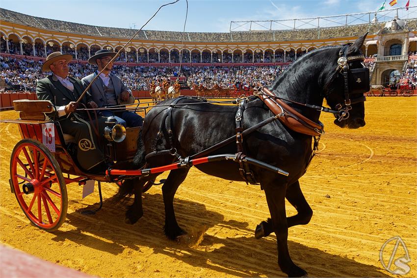 fjmontiel_XL_Exhibicion_Enganches_Sevilla_2026_DSC_9319_DxO